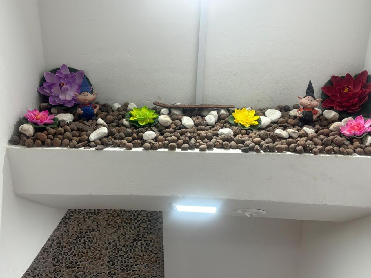 Loft 02 - Ufpe - Ufrpe - Caxanga- Cordeiro *